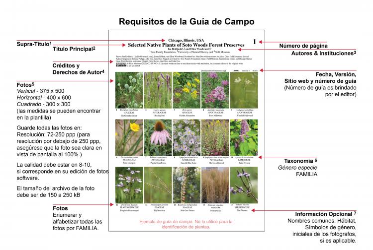 Anatomía de una Guía de Campo