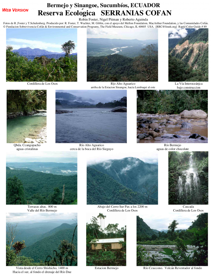 Sucumbíos -- Serranías Cofán Rare Plants