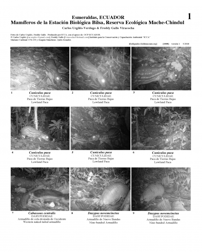 1008_ecuador_mammals_of_bilsa.pdf 
