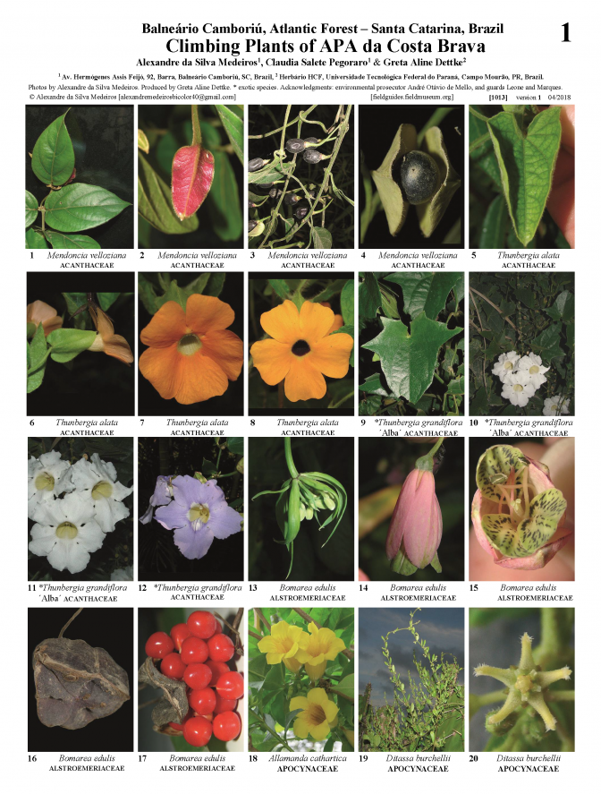 1013_brazil_climbing_plants_apa_da_costa_brava.pdf