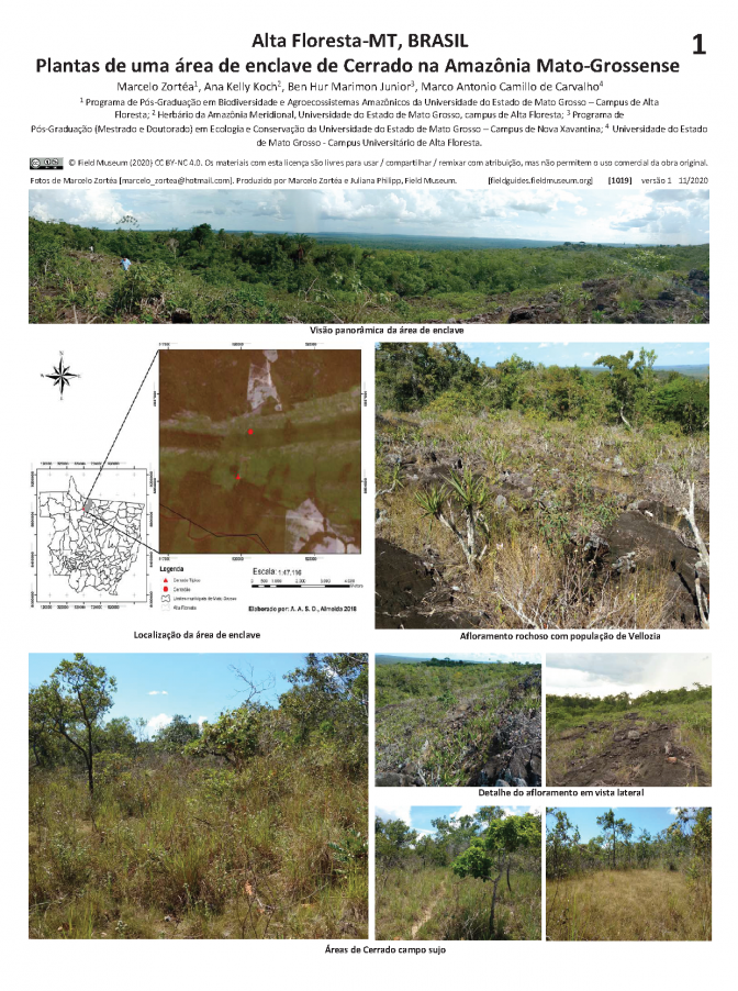 1019_brasil_plantas_do_cerrado_de_mato_grosso_pt.pdf 