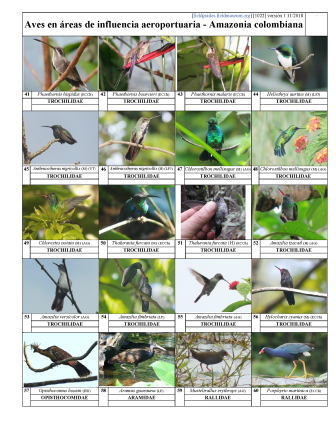1022_colombia_aves_en_areas_de_influencia_aeroportuaria.pdf