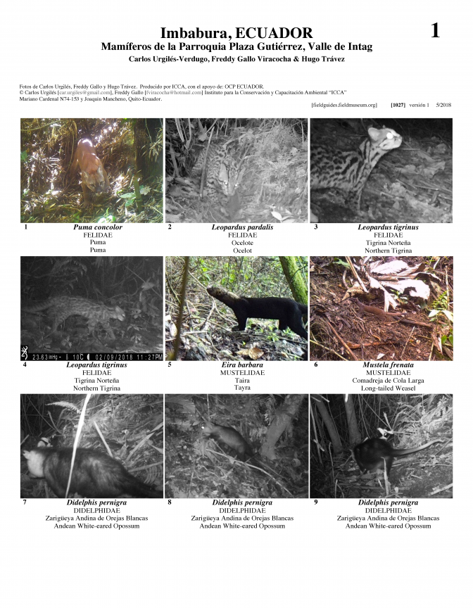 1027_ecuador_mammals_of_parroquia_plaza_gutierrez.pdf 