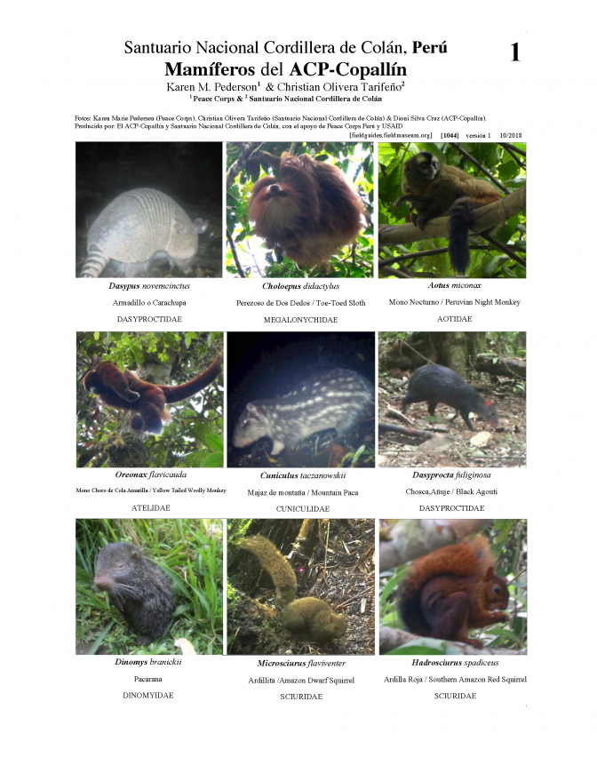 1044_peru_mammals_of_copallin_.pdf 