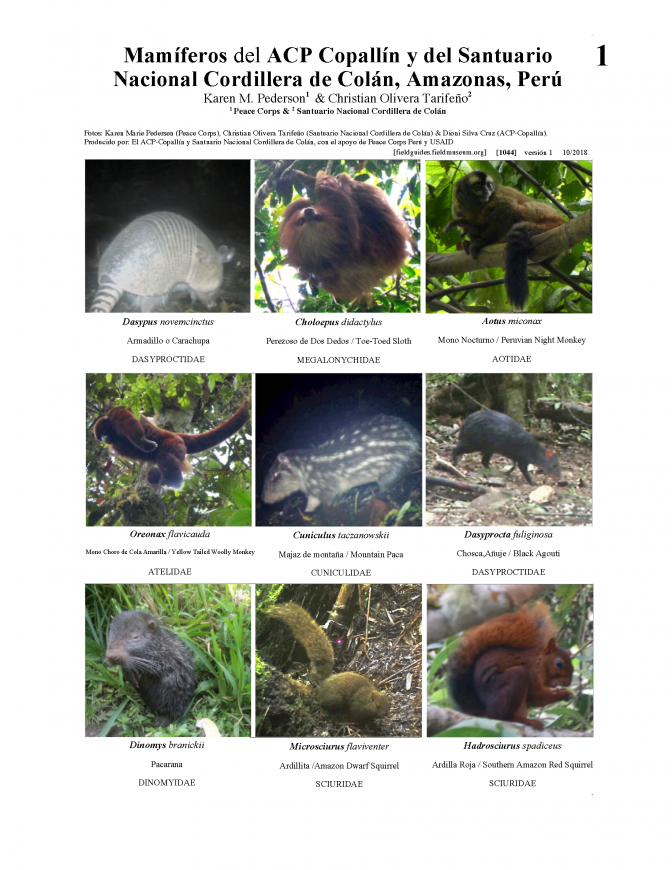 1044_peru_mammals_of_copallin_and_colan.pdf 