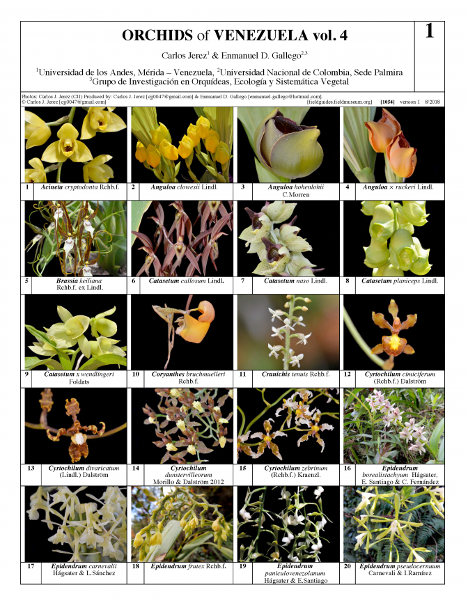 1054_orchids_of_venezuela_vol_4.pdf 