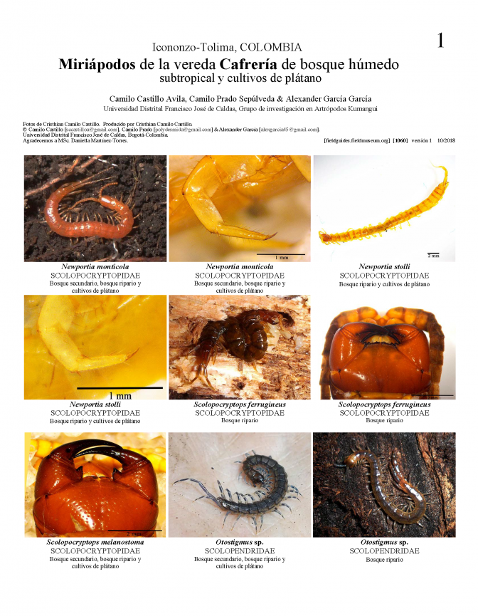 1060_colombia_myriapods_of_vereda_cafreria.pdf