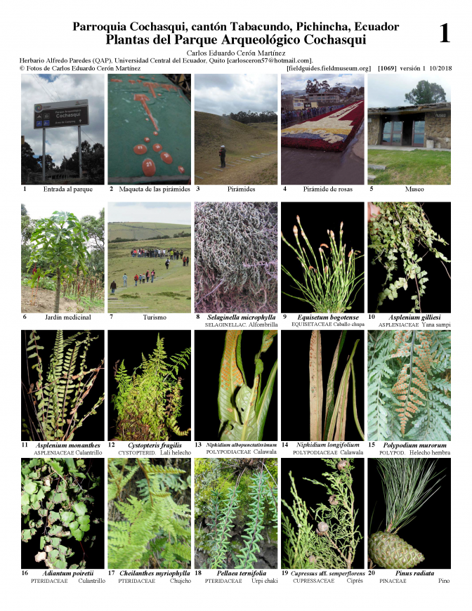  1069_ecuador_plants_of_cochasqui_archeological_park.pdf 