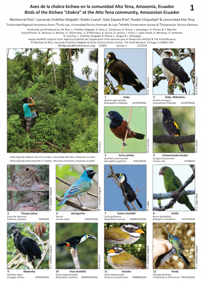  1084_ecuador_birds_of_the_kichwa_chakra_at_the_alto_tena_community.pdf