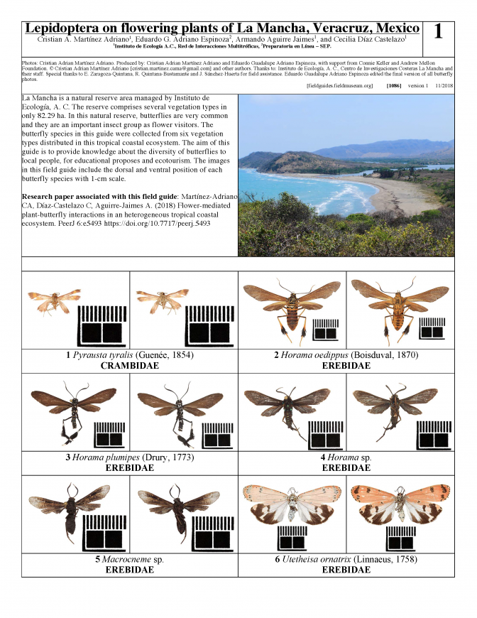 1086_mexico_lepidoptera_on_flowering_plants_of_la_mancha.pdf
