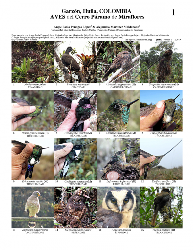 1088_colombia_aves_del_cerro_paramo_de_miraflores.pdf