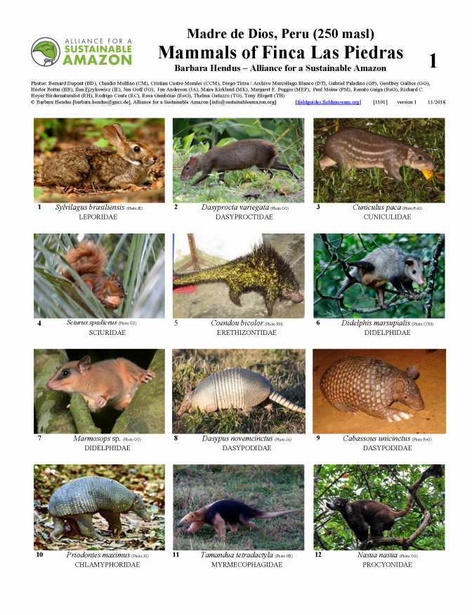 1101_peru_mammals_of_finca_las_piedras.pdf