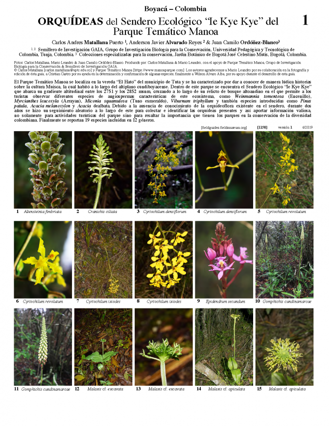 1158_colombia_orchidaceae_of_manoa_theme_park.pdf
