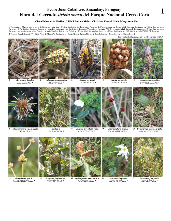 1162_paraguay_flora_of_cerro_cora_national_park.pdf