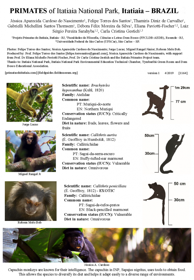 1164_brazil_primates_of_itatiaia_national_park.pdf