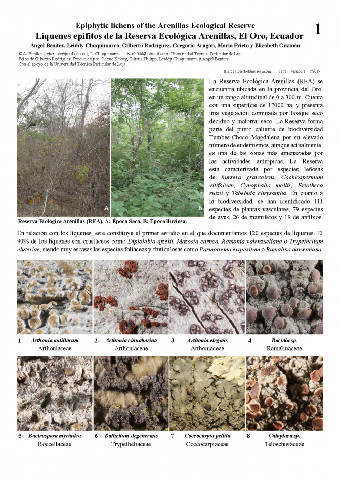 1172_ecuador_liches_of_arenillas_reserve.pdf 