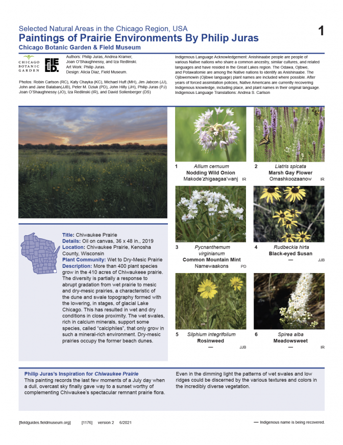 1176_usa_chicagoregion_philipjuras_v2.pdf