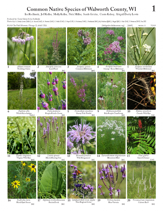 1185_usa_common_species_of_walworth_county_wi.pdf