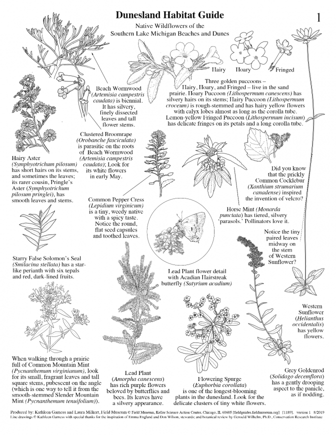 1189_usa_dunesland_habitat_guide.pdf 