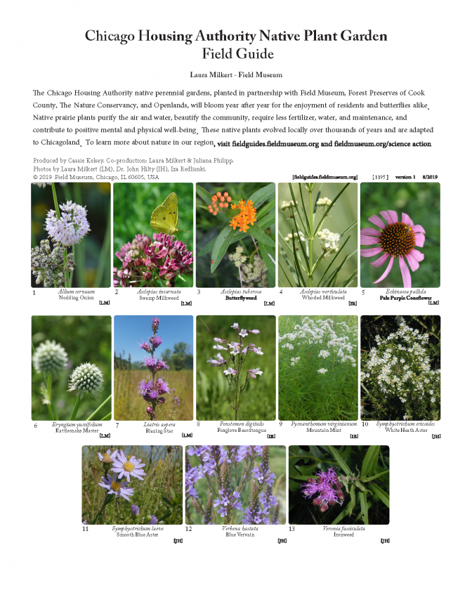  1195_usa_chicago_housing_authority_plant_garden.pdf
