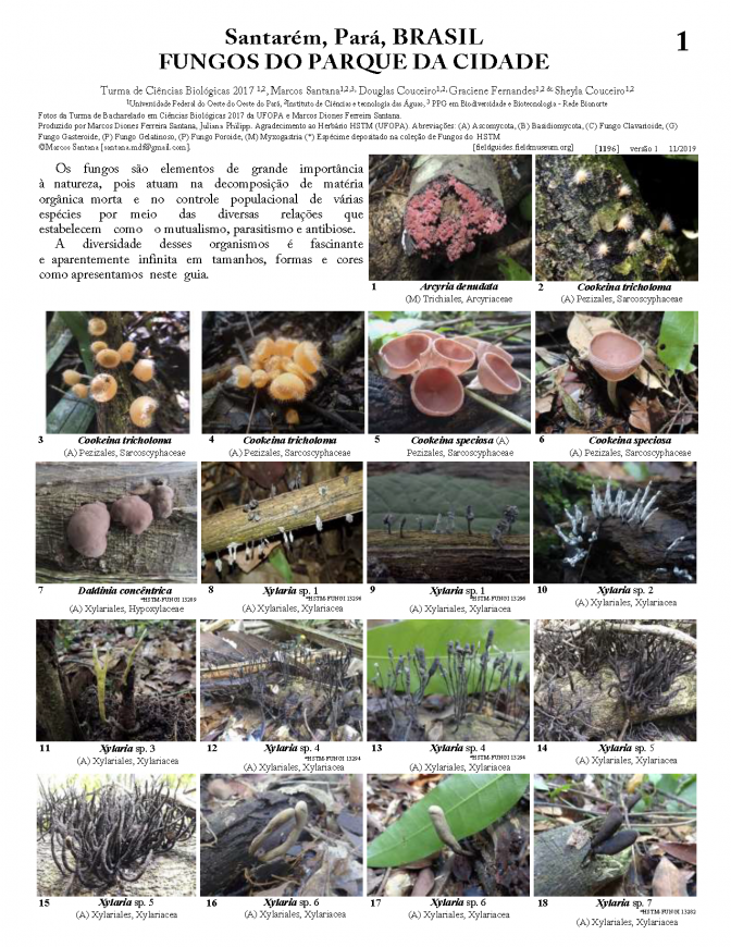 1196_brazil_fungi_of_parque_da_cidade.pdf 