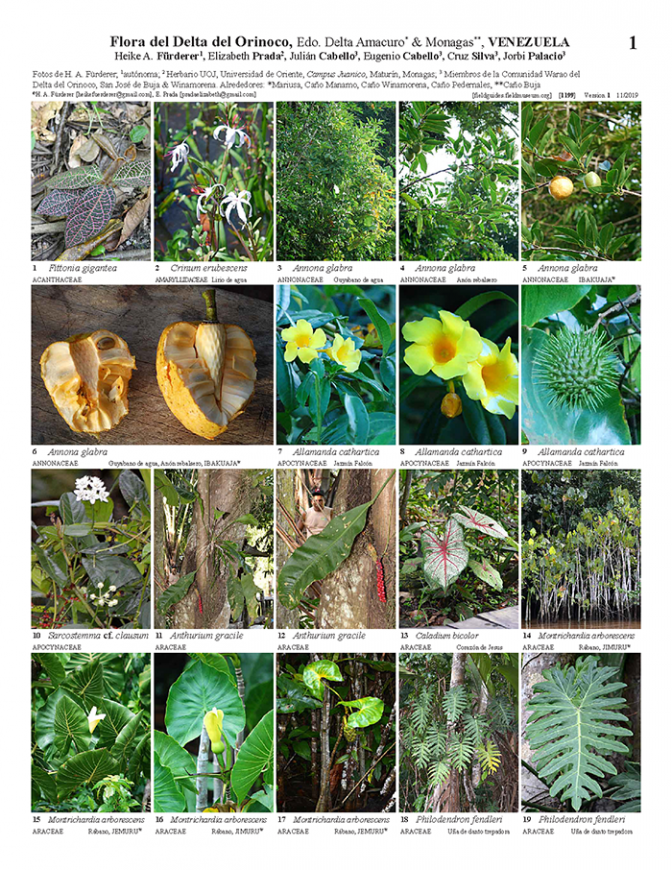 1199_venezuela_flora_del_delta_del_orinoco.pdf