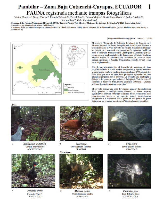 1210_ecuador_fauna_registrada_mediante_trampas_fotograficas.pdf 