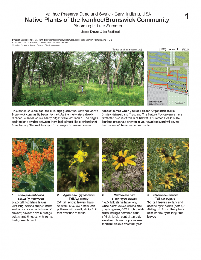 1212_usa_native_plants_of_ivanhoe.pdf