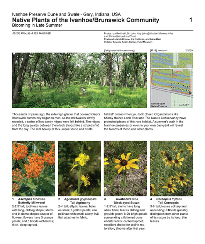 1212_usa_native_plants_of_ivanhoe_v.1.pdf