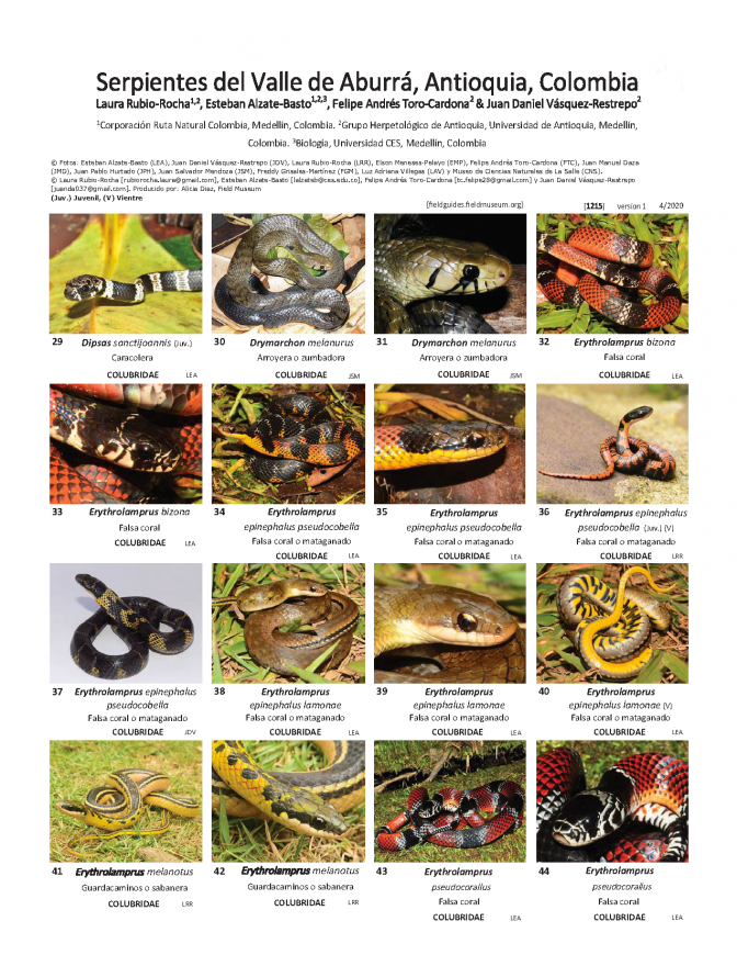 1215_colombia_serpientes_del_valle_de_aburra.pdf 