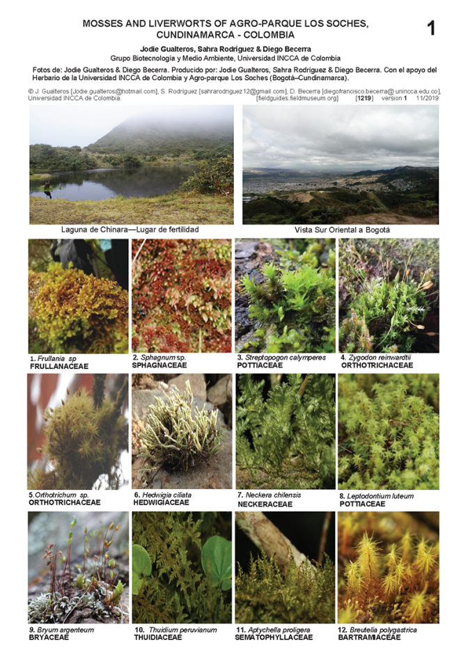 1219_colombia_mosses_and_liverworts_of_los_soles.pdf
