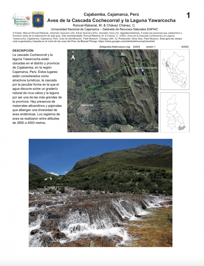 1241_peru_guia_aves_de_cochecorral.pdf