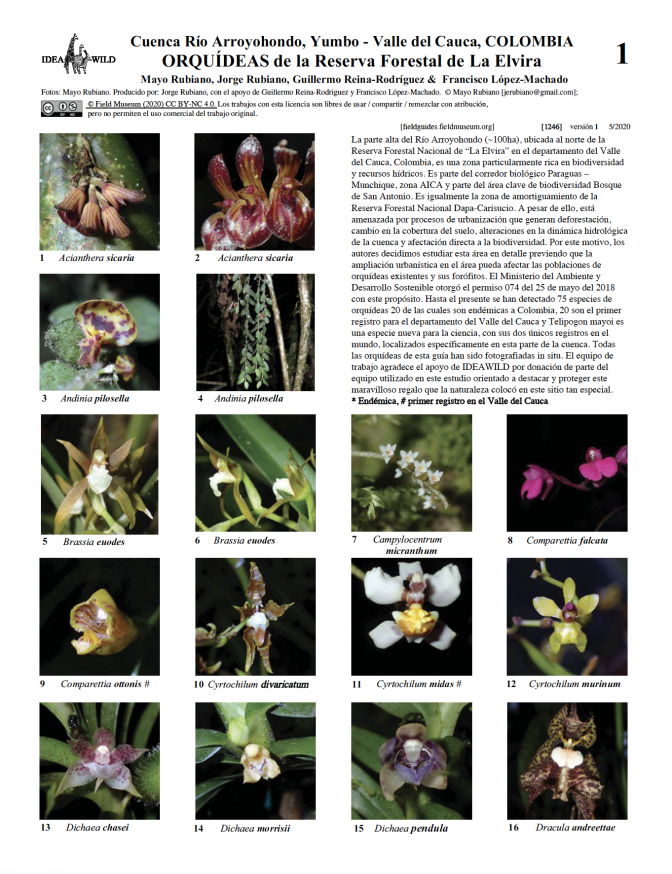 1246_colombia_orquideas_a_la_elvira_.pdf 
