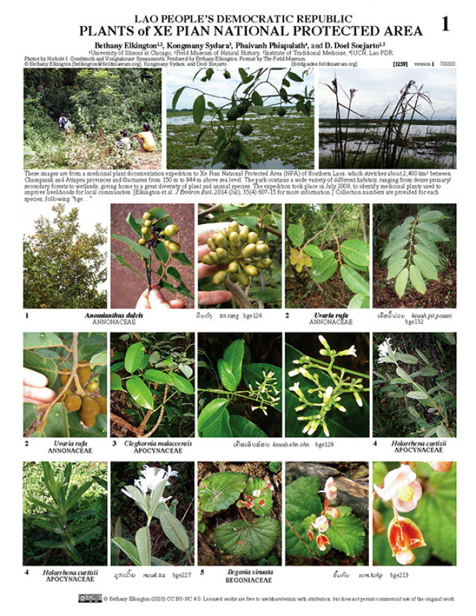 1259_lao_plants_of_xe_pian_protected_area.pdf 