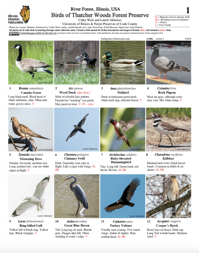1266_illinois_birds_of_thatcher_woods.pdf