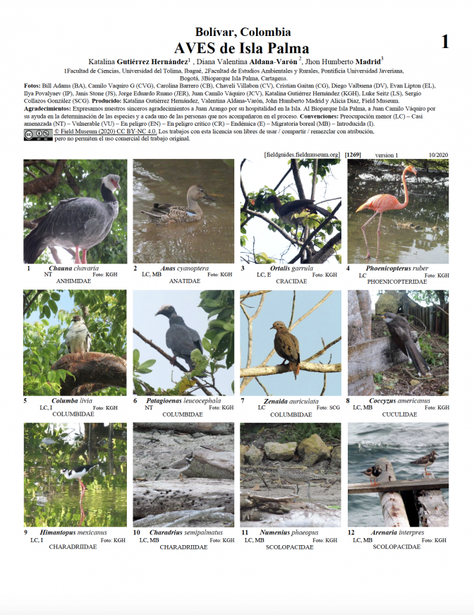 1269_colombia_aves_de_isla_palma.pdf