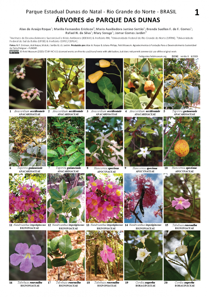  1284_brazil_trees_of_dunas_state_park.pdf