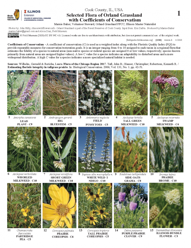 1292_usa_flora_of_orland_grassland.pdf 