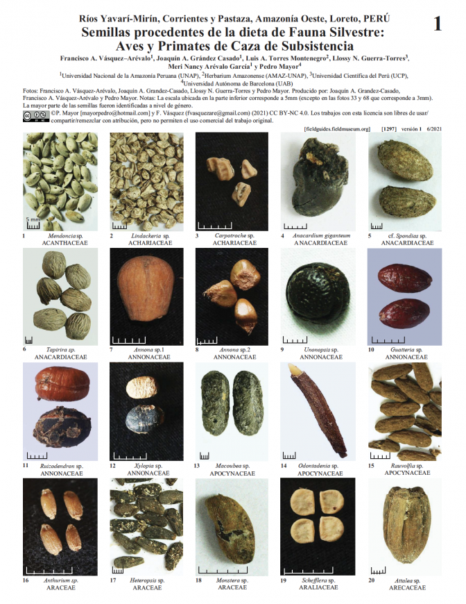 1297_peru_loreto_semillas_faunasilvestre.pdf 