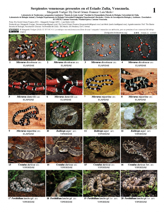 1307_venezuela_poisounous_snakes_of_the_state_of_zulia.pdf 
