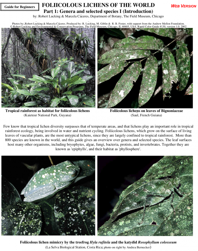 Foliicolous Lichens of the World