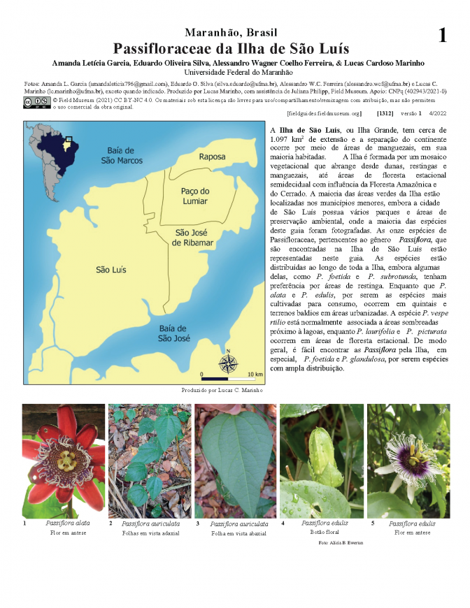 1312_brazil_passifloraceae_da_ilha_de_sao_luis.pdf