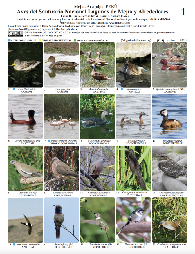 1314_peru_aves_de_mejialagunas_arequipa.pdf