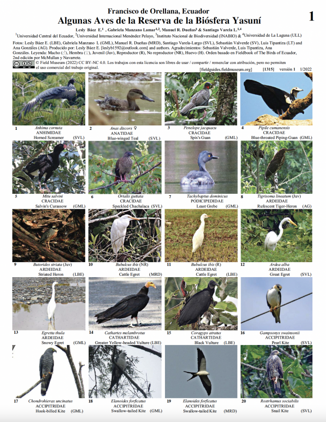1315_ecuador_aves_reservabiofera_yasuni.pdf