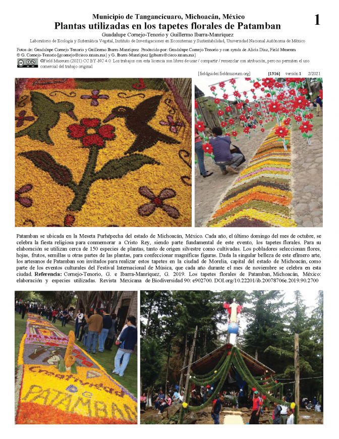 1316_mexico_plants_used_in_patamban_floral_rugs_.pdf