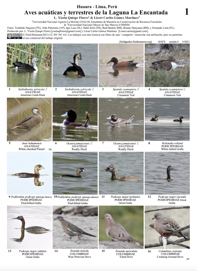 1317_peru_huaura_lima_aves_la_encantada.pdf