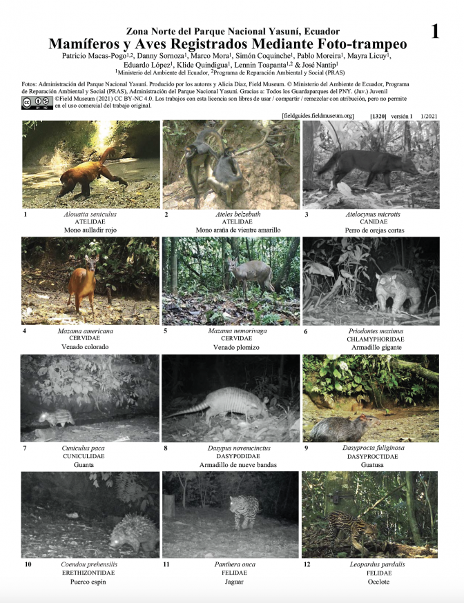 1320_ecuador_mamiferos_y_aves_yasuni.pdf