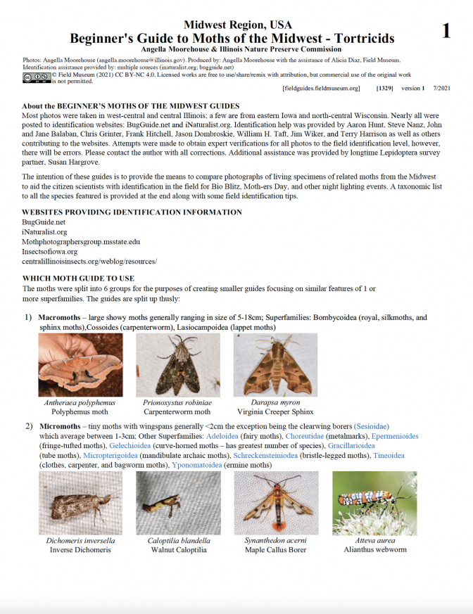 1329_usa_moth_tortricid.pdf 