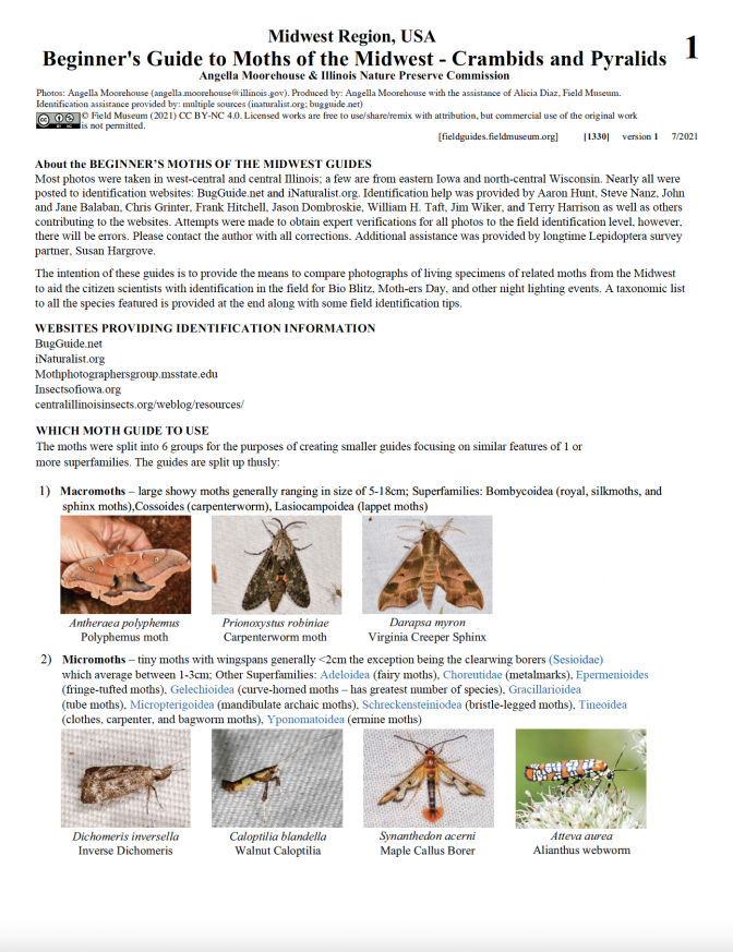 1330_usa_moth_pyralid.pdf