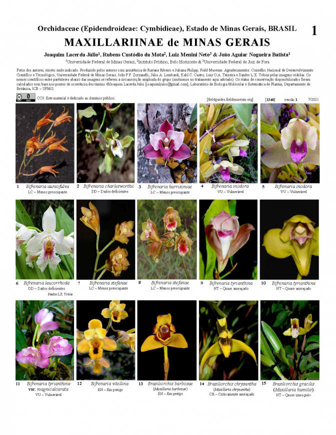 1340_brazil_maxillariinae_de_minas_gerais.pdf 